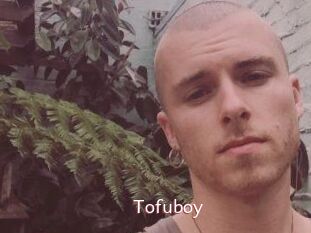 Tofu_boy