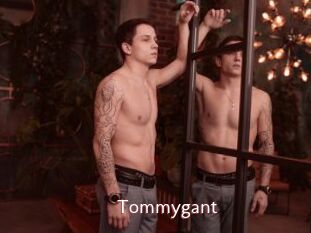 Tommygant