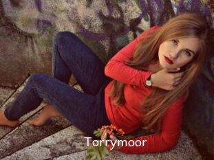 Torrymoor
