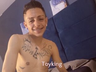 Toyking
