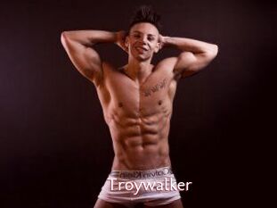 Troywalker