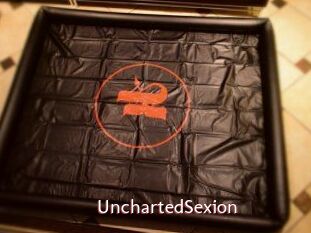 UnchartedSexion