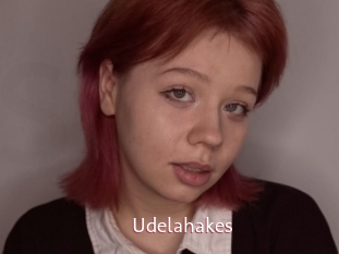 Udelahakes