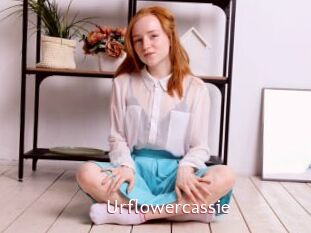 Urflowercassie