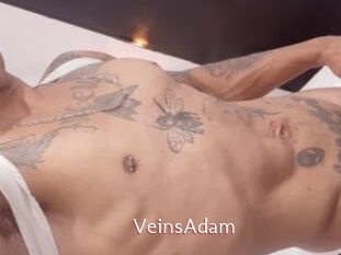 VeinsAdam