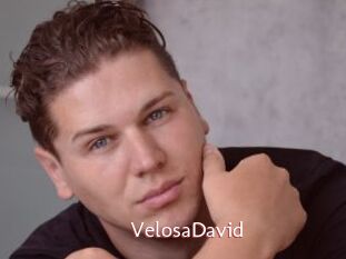 VelosaDavid
