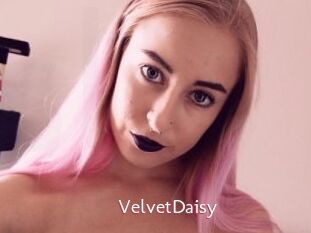 VelvetDaisy