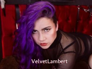 VelvetLambert