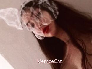 VeniceCat
