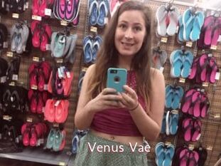 Venus_Vae