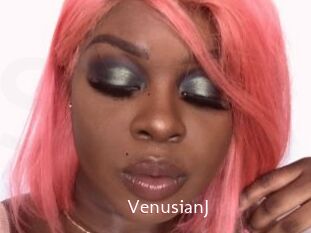 VenusianJ