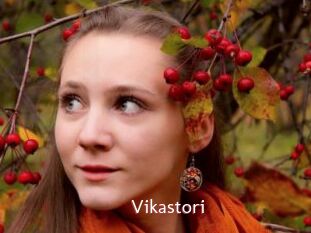 Vikastori