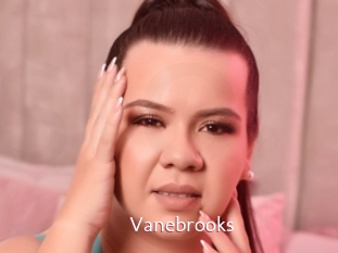 Vanebrooks