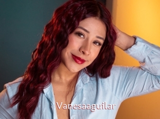 Vanesaaguilar