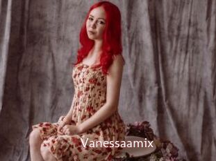 Vanessaamix