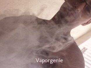 Vapor_genie