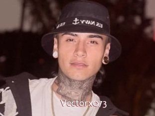 Vectorx073