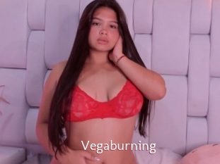 Vegaburning