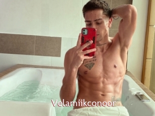 Velamiikconoor