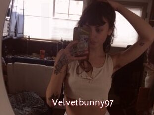 Velvetbunny97