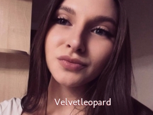 Velvetleopard