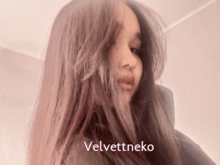 Velvettneko