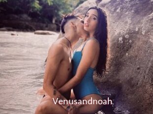 Venusandnoah