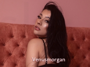 Venusmorgan