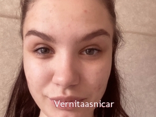 Vernitaasnicar