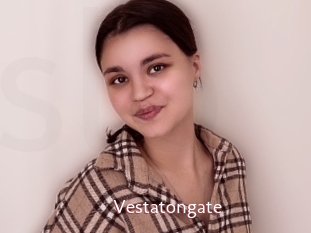Vestatongate
