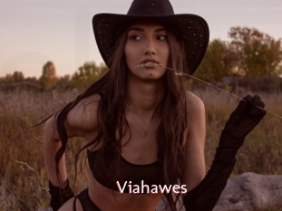 Viahawes
