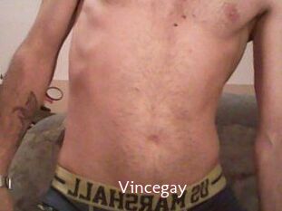 Vincegay