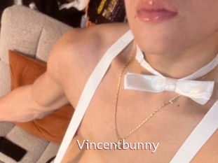Vincentbunny