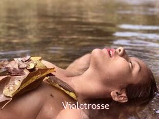 Violetrosse