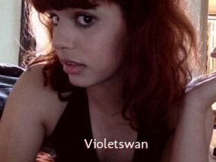 Violetswan