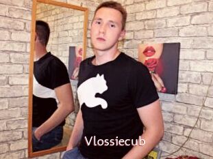 Vlossiecub