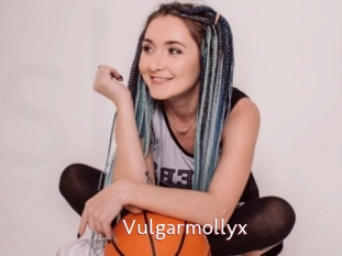 Vulgarmollyx