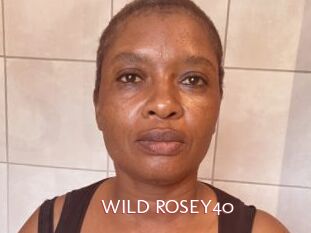 WILD_ROSEY40