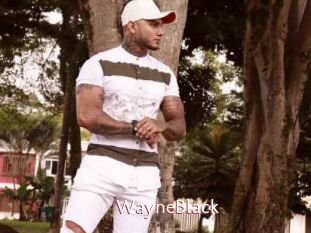 WayneBlack