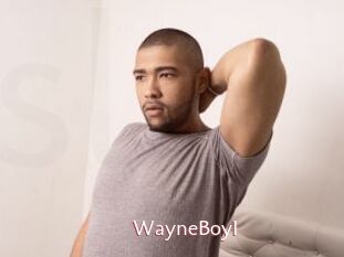 WayneBoyI