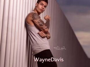 WayneDavis