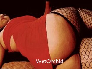 WetOrchid