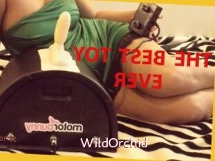 WildOrchid_