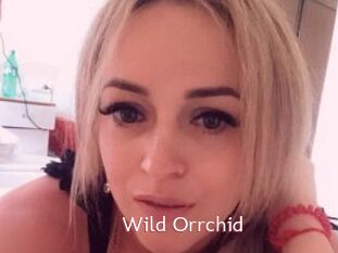 Wild_Orrchid