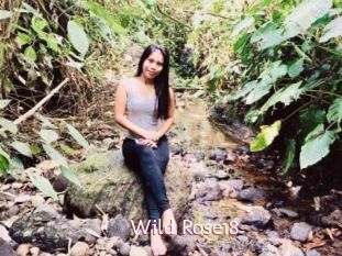 Wild_Rose18