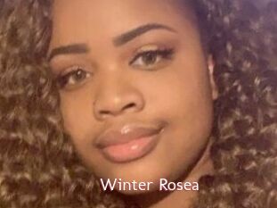 Winter_Rosea