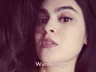 Wandafudge