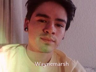 Waynemarsh