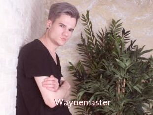 Waynemaster