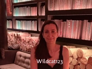 Wildcat123